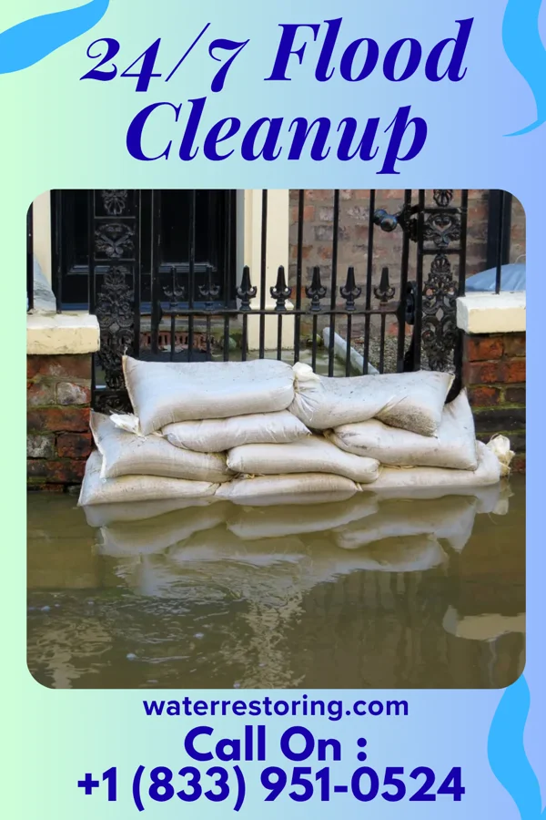 24/7 Flood Cleanup in Riceboro, GA
