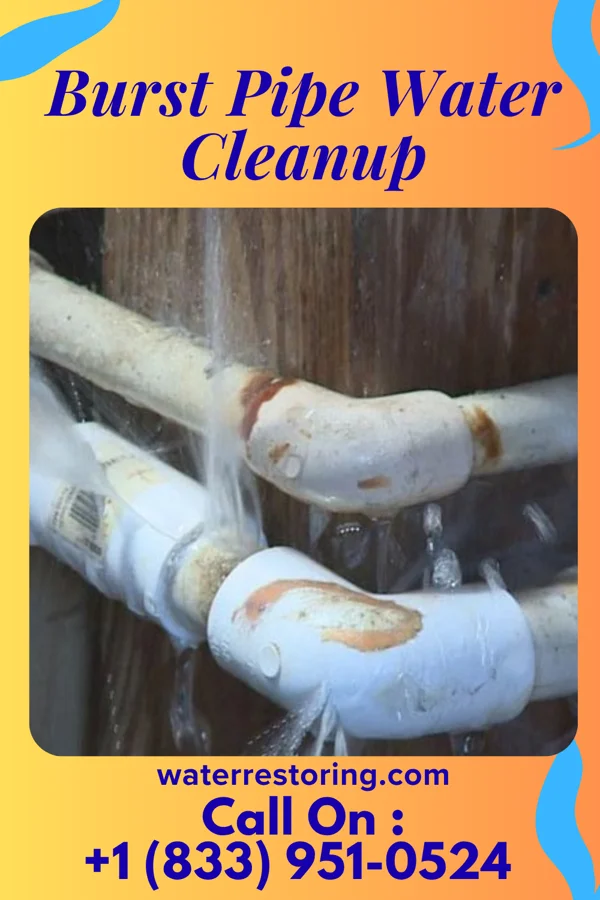 Burst Pipe Water Cleanup in Riceboro, GA