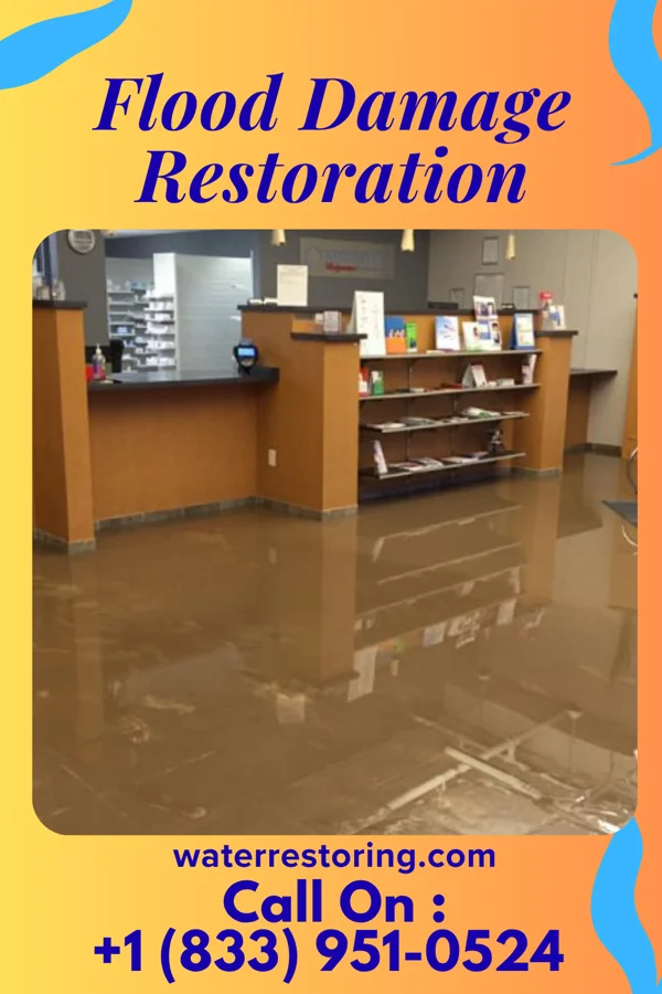 Flood Damage Restoration in Riceboro, GA