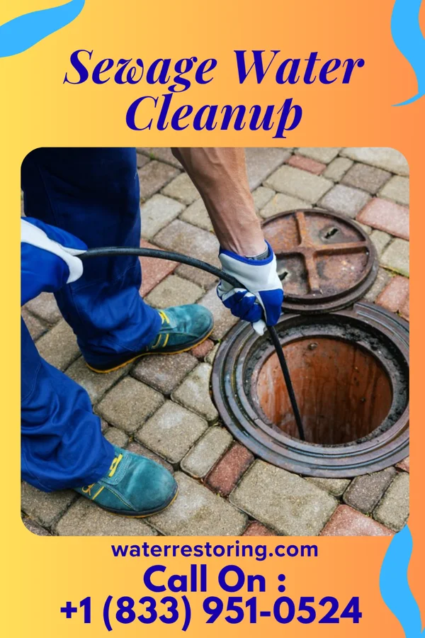 Sewage Water Cleanup in Riceboro, GA