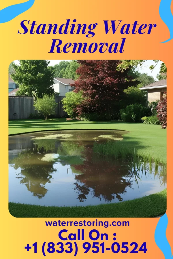 Standing Water Removal in Riceboro, GA